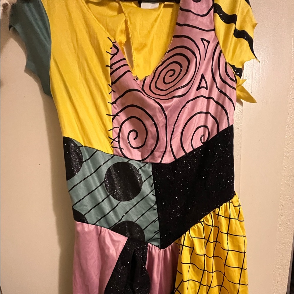 Sally costume dress and wig Adult size